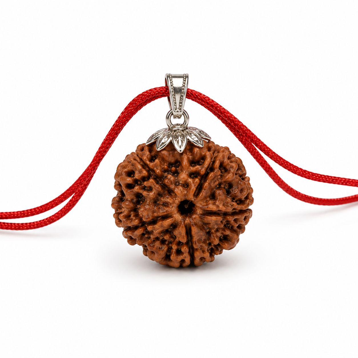 Nepal Origin 5 Mukhi Rudraksha - Panch mukhi