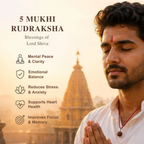 Nepal Origin 5 Mukhi Rudraksha - Panch mukhi