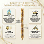 Gold plated Rudraksha bracelet - Panch Mukhi